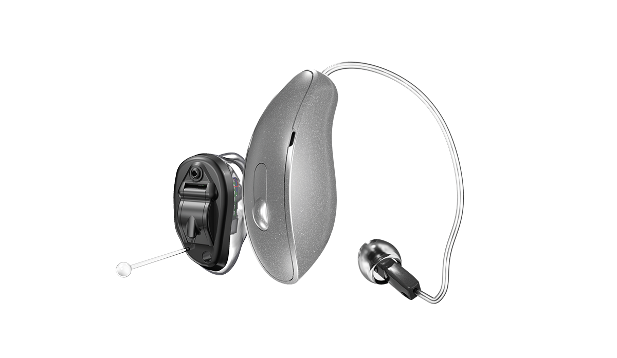 Hearing Aid Styles